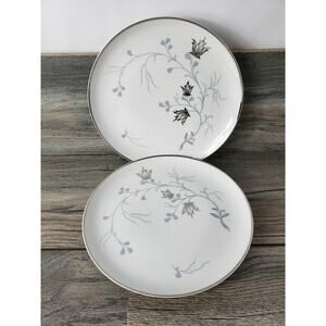 Eschenbach bavaria baronet china silver arbor Dessert Salad Plates